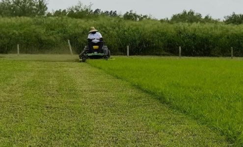 Santamaria Enterprise L.L.C 32876 Cactus Rd, Los Fresnos Texas 78566