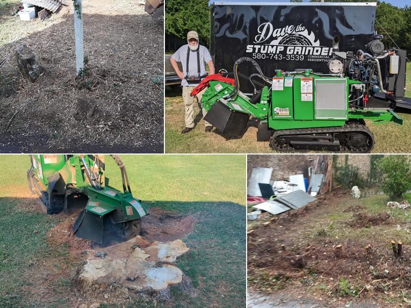 Dave the Stump Grinder