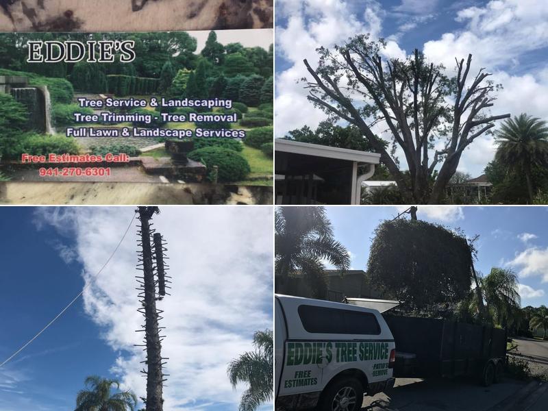 Eddies Tree Service