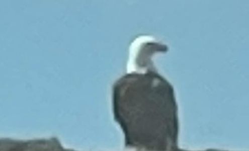 American Decorator Outlet