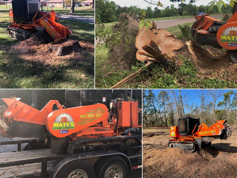 Matt's Stump Grinding