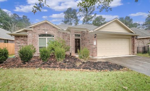 Lake Conroe Management