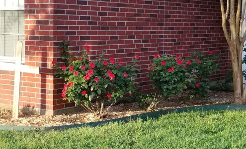 White Ivy Real Estate