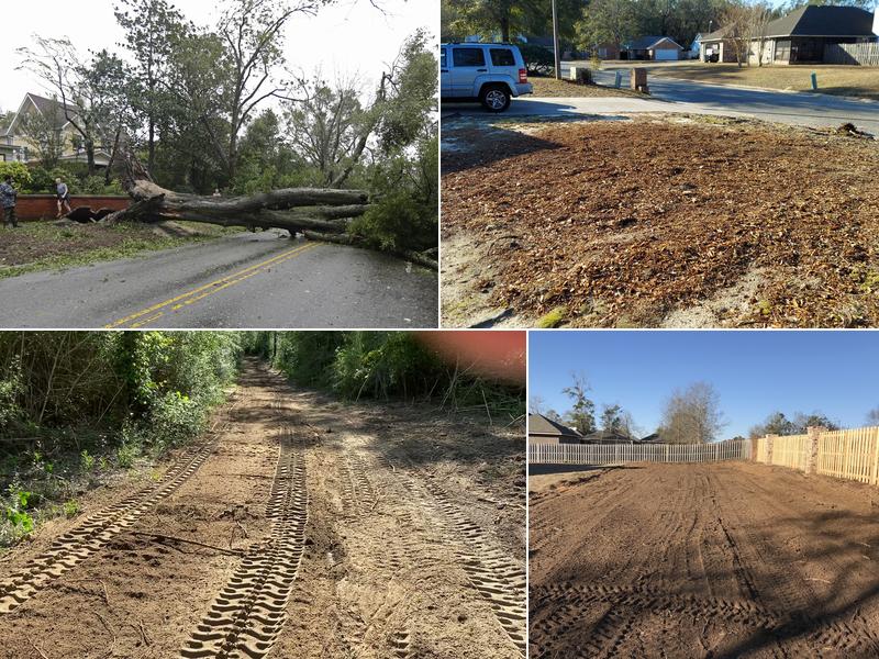 Branch and Vine Services