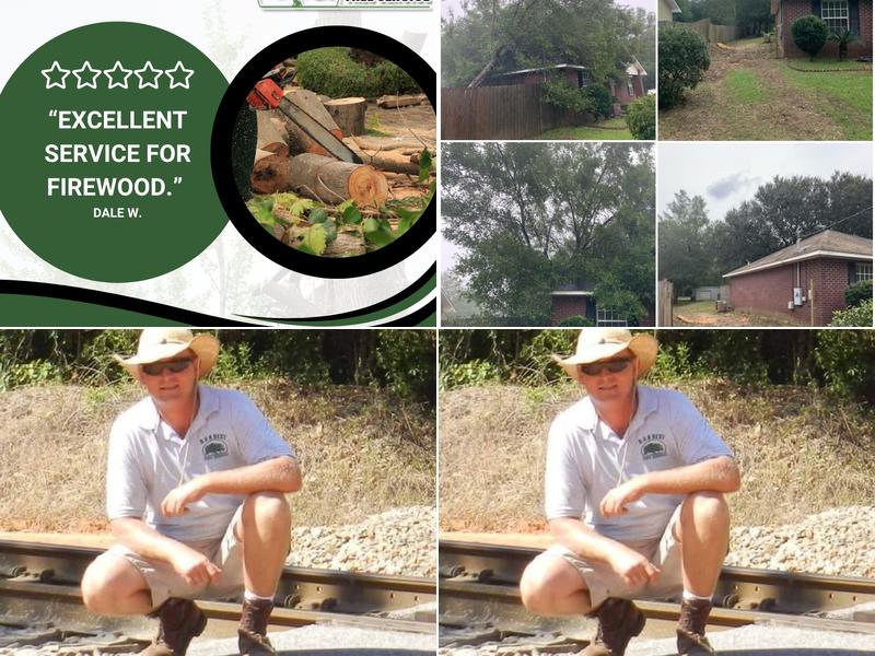 AAA Best Tree Service