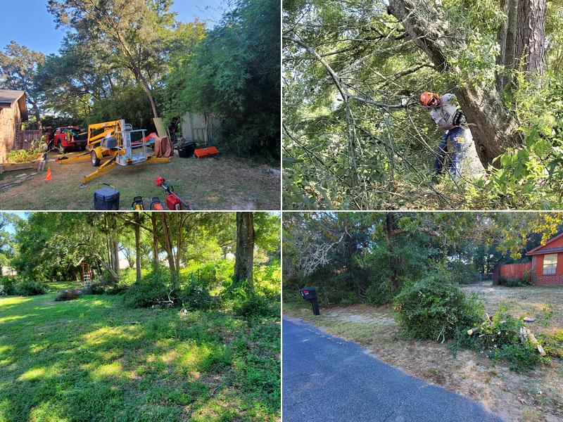 Terra Flora Tree Service