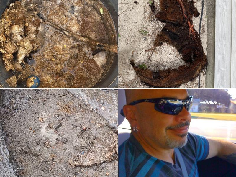 Shield Grinder Pumps