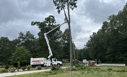 Bobby Sherrill's Tree Service