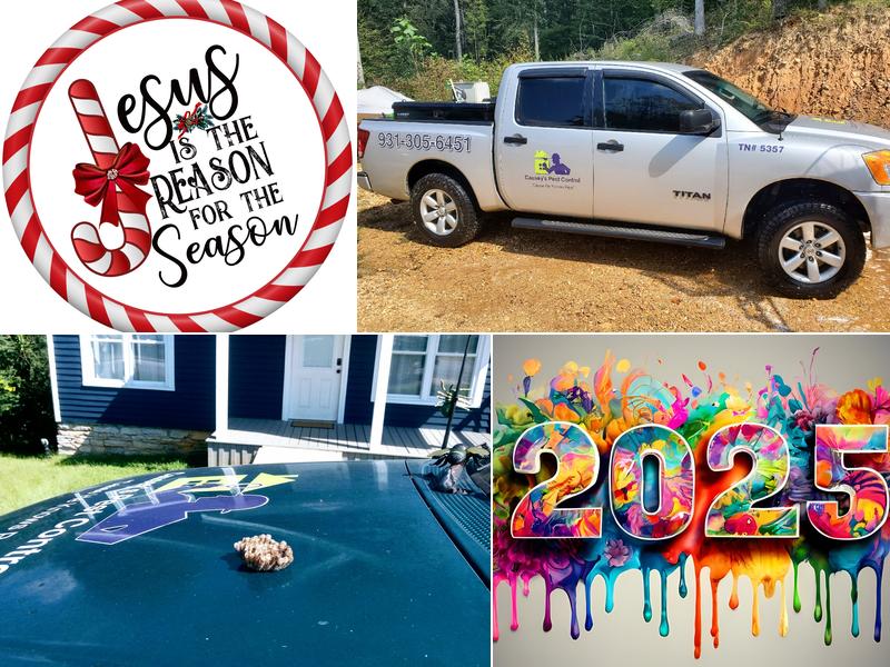 Causey's Pest Control & Termite