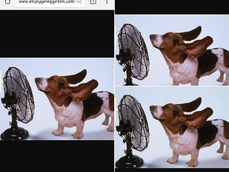 Wayne Woods Heating & Cooling