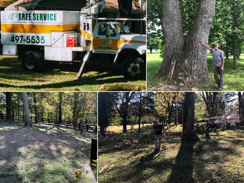 JB's Tree Service