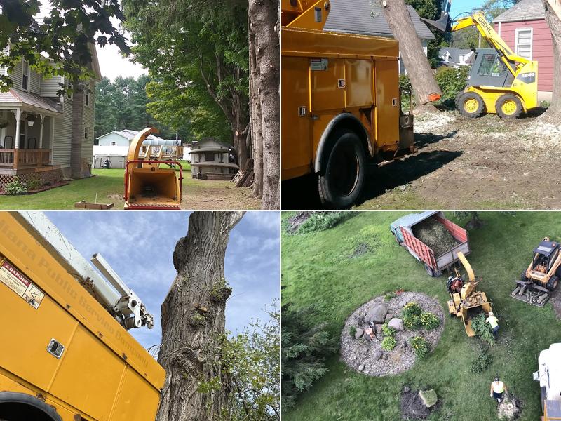 Jw Johns Tree Services