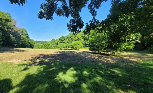 Clearview Land Management, LLC 9663 Elk Ridge Rd, Mt Pleasant Tennessee 38474