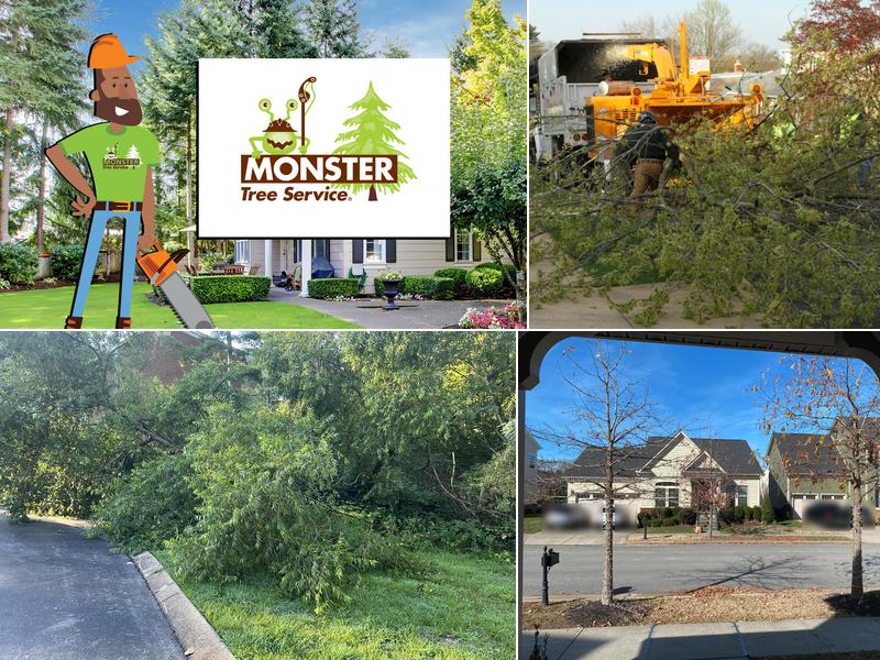 Monster Tree Service of Middle Tennessee