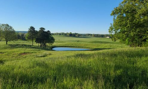 Sonja Brown - American Way Real Estate Co., Inc.