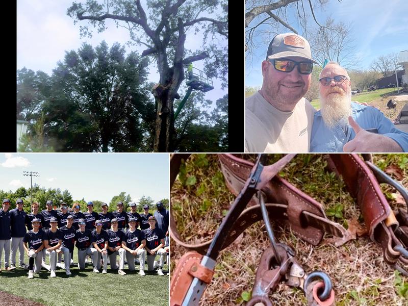 Johnson tree Experts