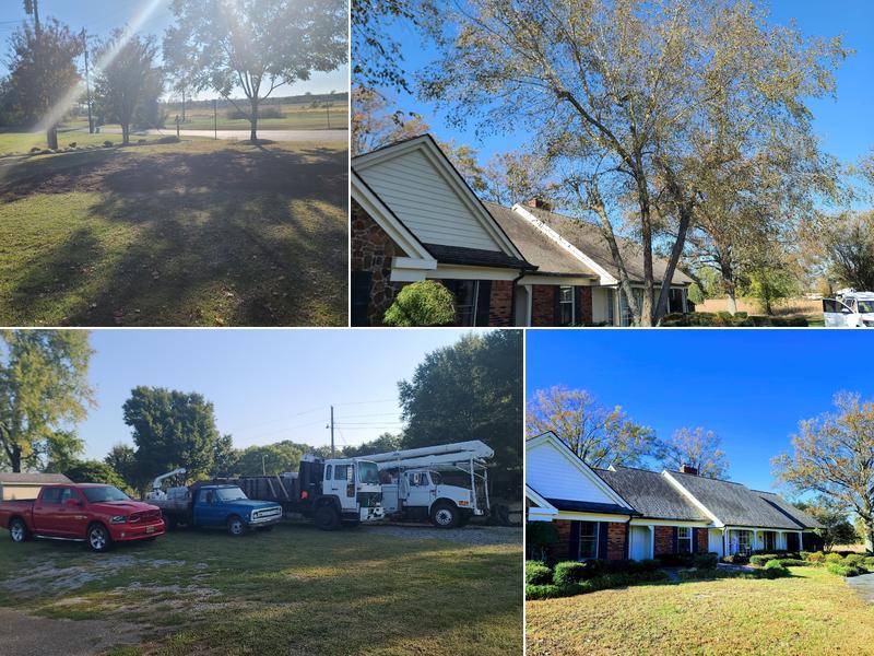 Goodwood Tree Service