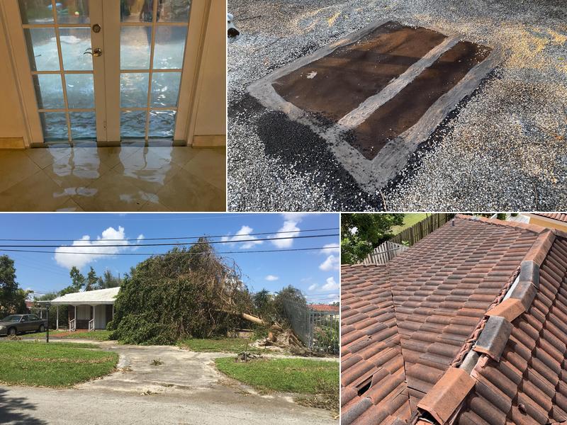 Rapid Public Adjusters