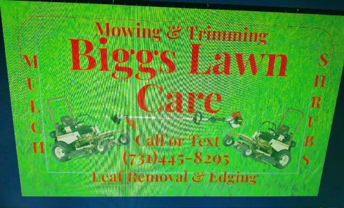 Biggslawncare 112 Esquire White Rd, Trenton Tennessee 38382