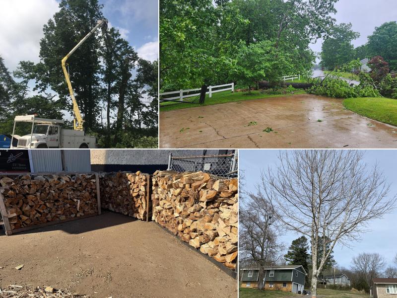 Campbell's Tree Service