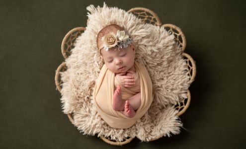 Mandy Penn Photography