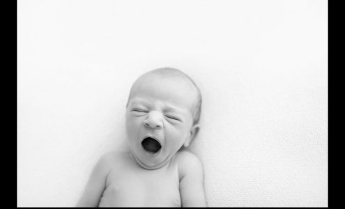 Arcadian Photography