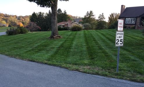 Curtis Lawn Maintenance