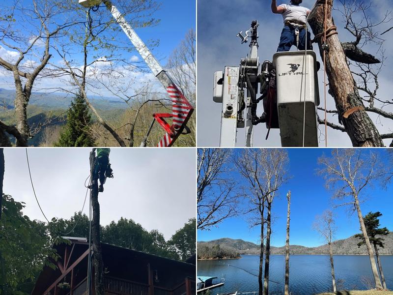 Smitty’s Tree Service