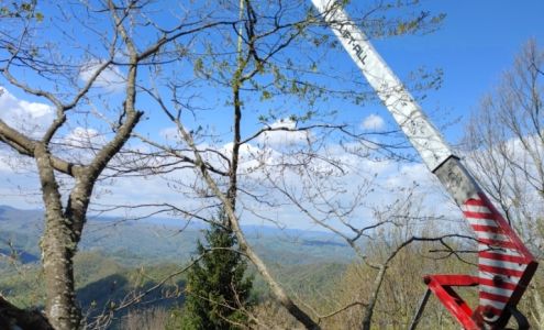 Smitty’s Tree Service 1137 Dark Ridge Rd, Elk Park North Carolina 28622