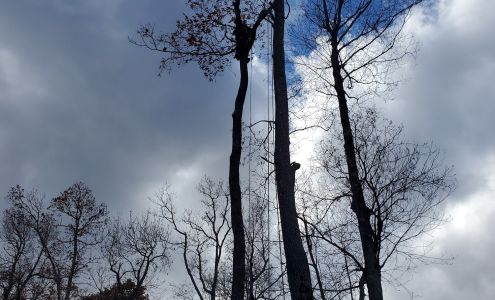 WNC CRUZ TREE SERVICE LLC 115 Estelle Ln, Spruce Pine North Carolina 28777