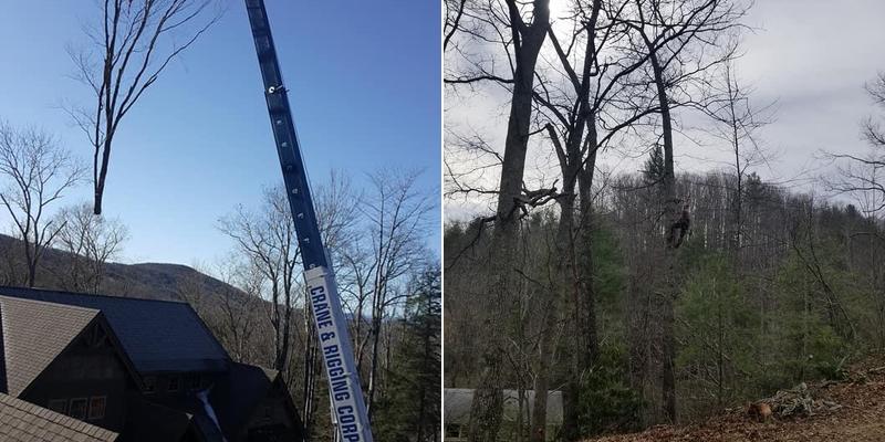 Appalachian Tree Specialist