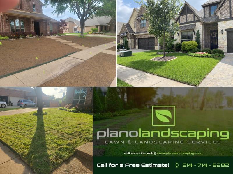 Plano Landscaping