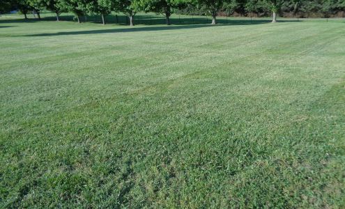 Greenpro Lawn Service