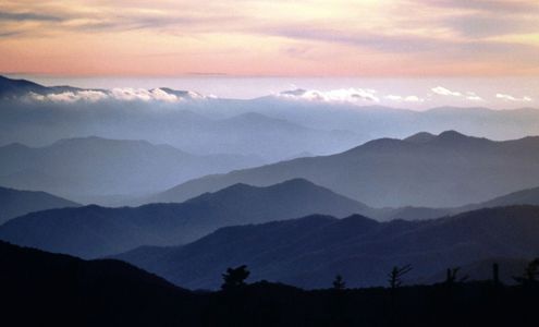 Caylor Brothers Construction 246 Tom Henry Rd, Townsend Tennessee 37882