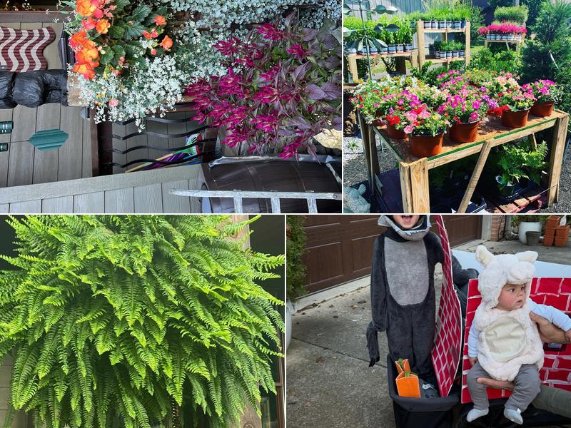 All Good Things Garden Center