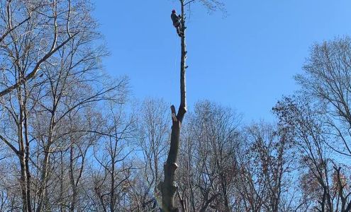 Cuper's Garden & Landscaping