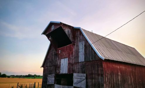 Cooks Custom Contracting 1715 Grapevine Rd, Crofton Kentucky 42217