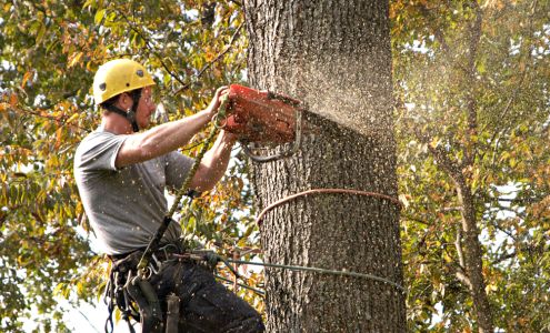 J & L Tree Service LLC 35 Cherry Cir, Brush Creek Tennessee 38547