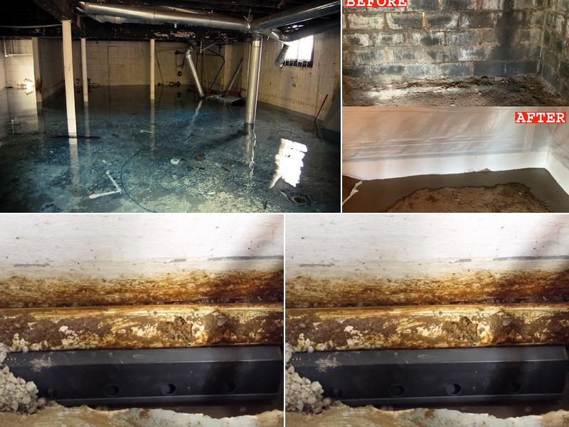 Ameri-Dry Waterproofing & Foundation Repair