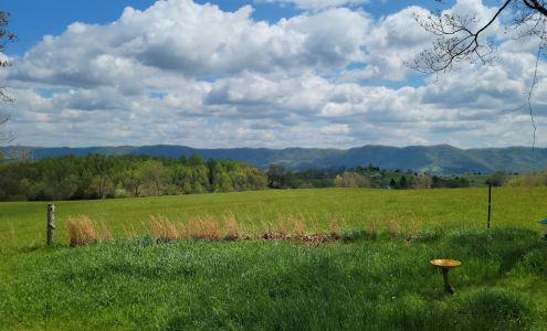 Virginia Wilder Real Estate 200 Wilders Peak Dr, Rose Hill Virginia 24281