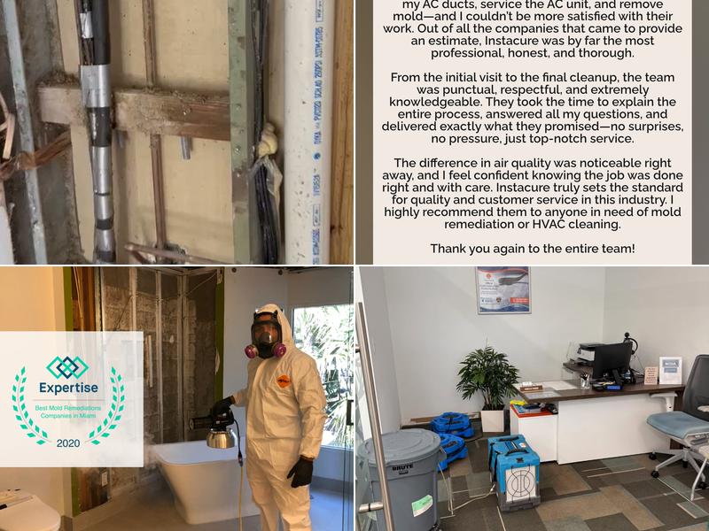 Instacure Mold Remediation