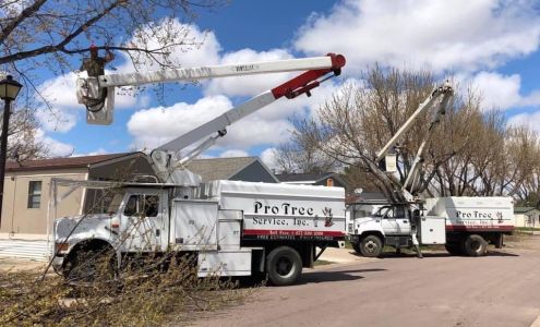 Pro Tree Service Inc