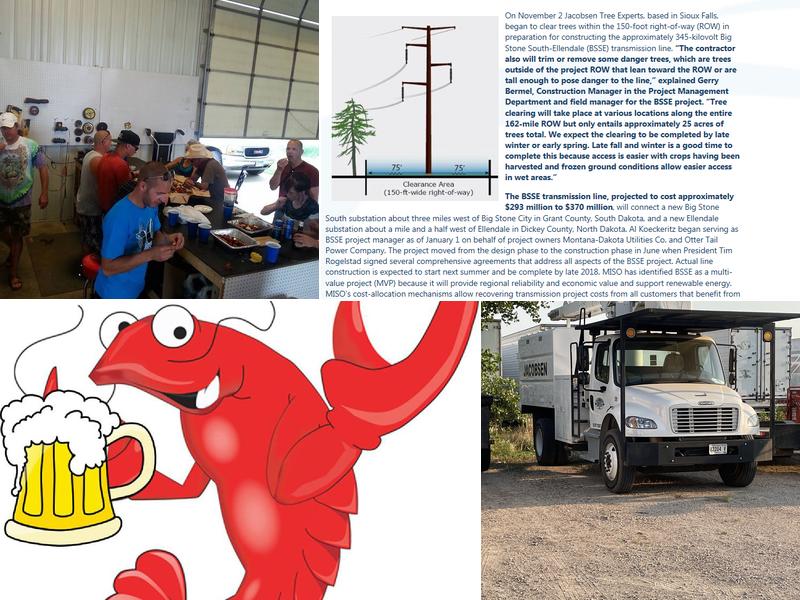 Jacobsen Tree Experts