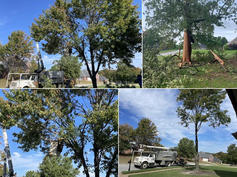 Prairie Grove Tree Service