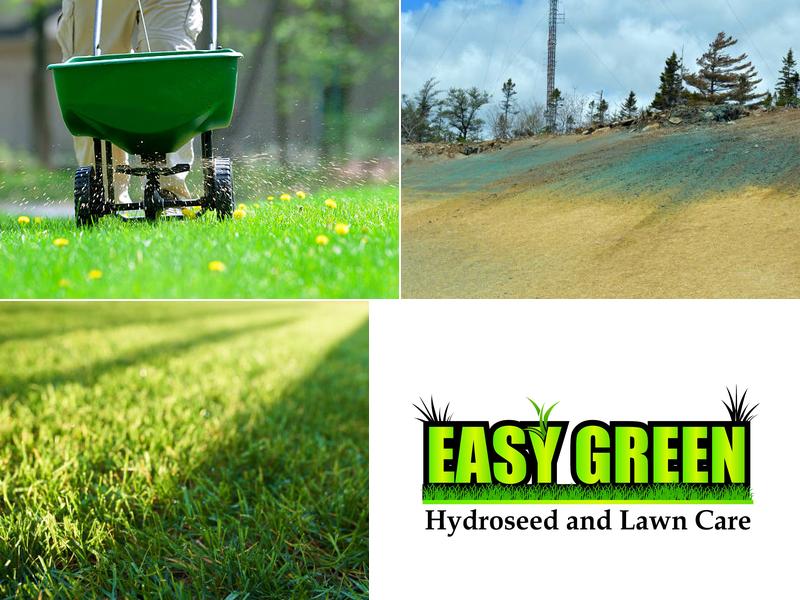 Easy Green Hydroseed and Lawn Care