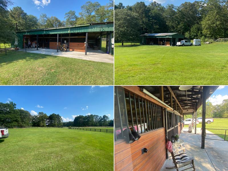 Randy Wolcott | Carolina Real Estate Company