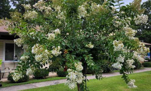 Glendale Manor Apartments