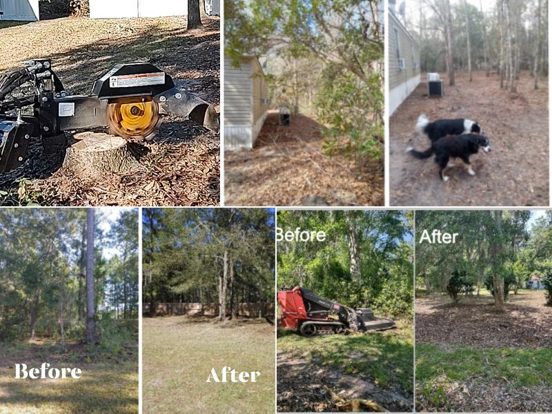 Absolute Brush Cutting and Beautification LLC