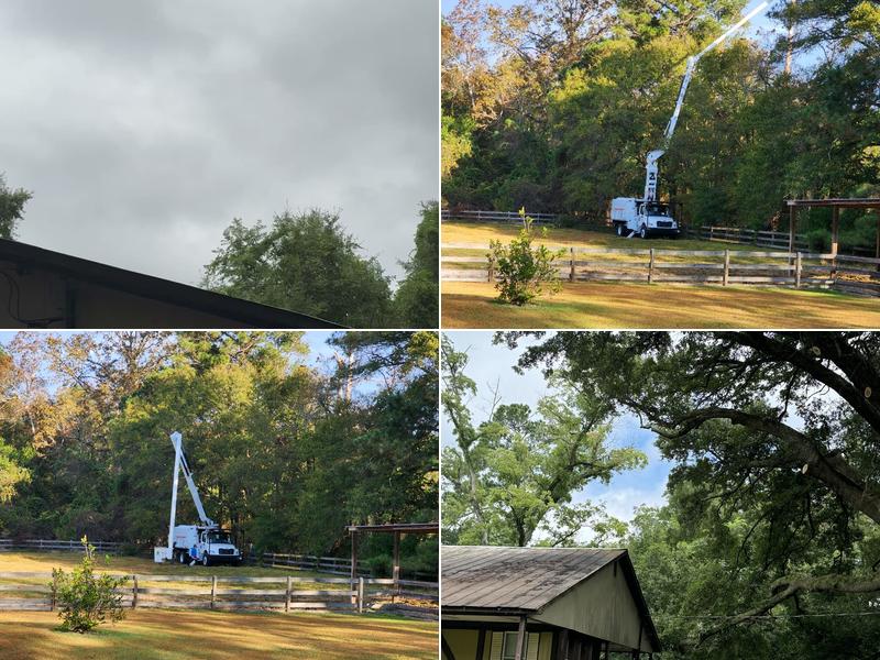 JJ'S Tree Service llc