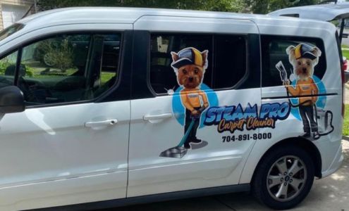 Steam Pro Carpet Cleaner